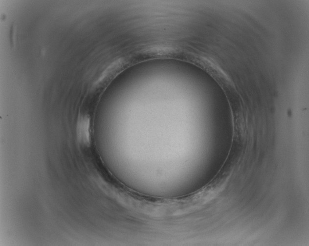 X0000074230024200609011253