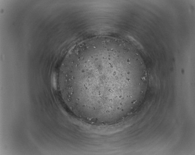 X0000074230026200609011253