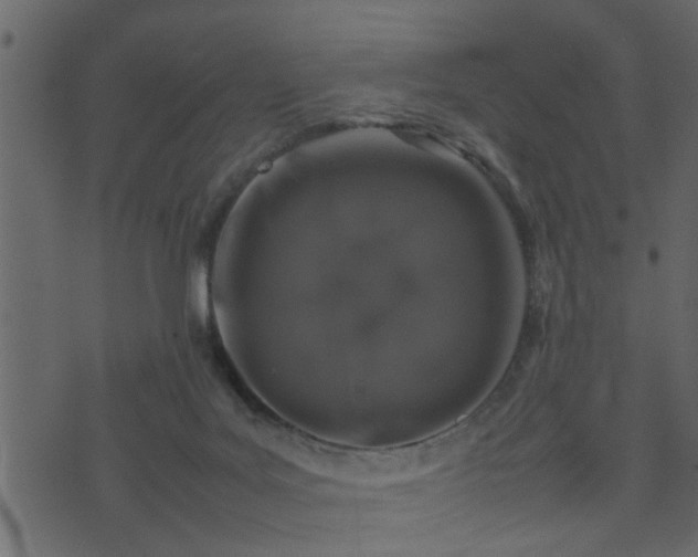 X0000074230027200609011253