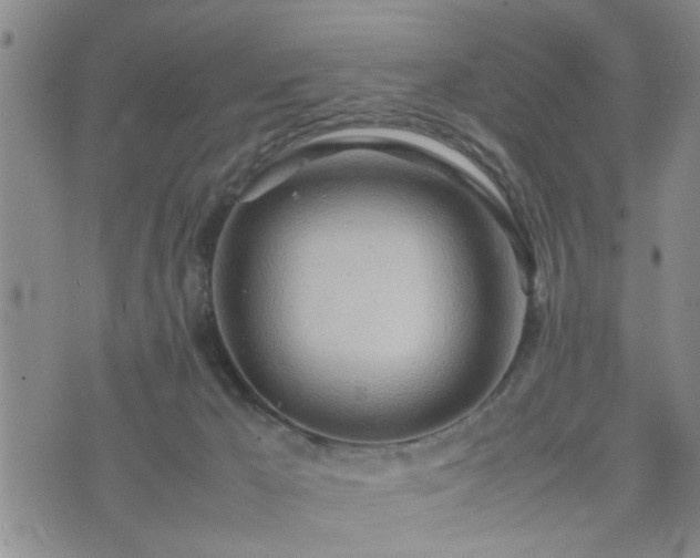 X0000074230029200609011253