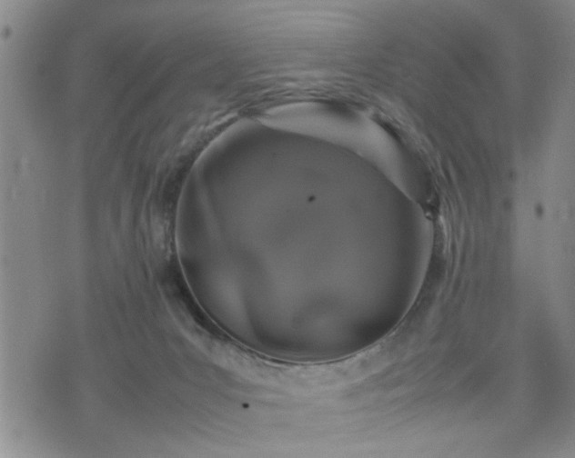 X0000074230031200609011253