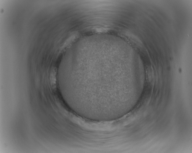 X0000074230032200609011253