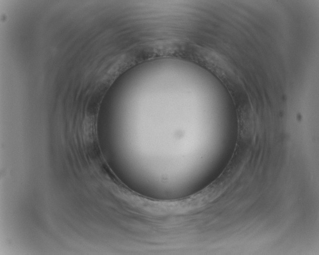 X0000074230034200609011253