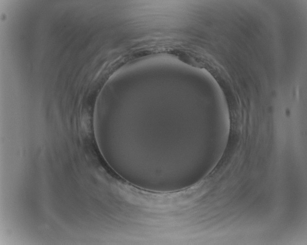 X0000074230035200609011253