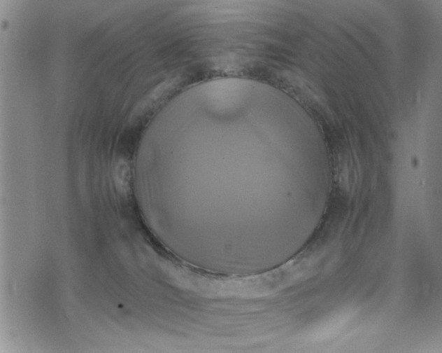 X0000074230036200609011253