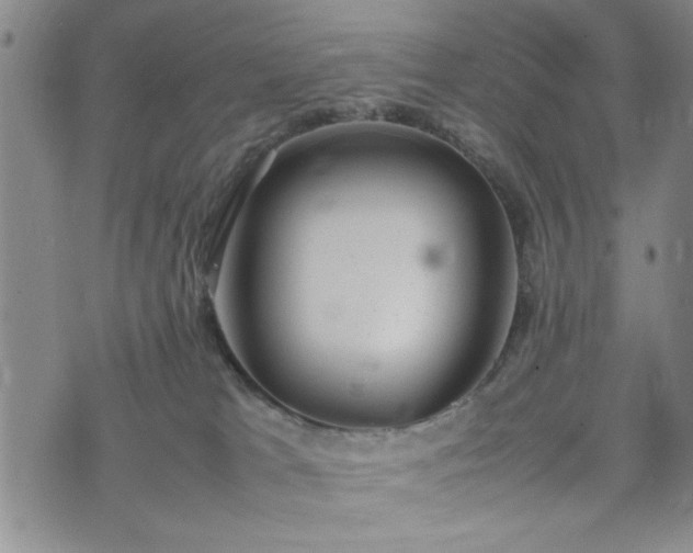 X0000074230037200609011253