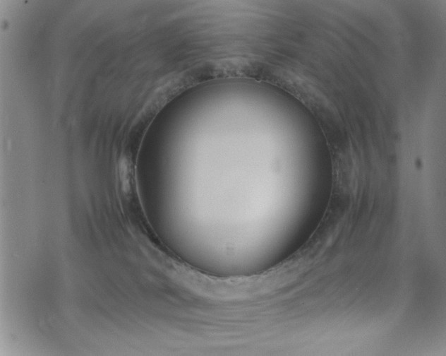 X0000074230038200609011253