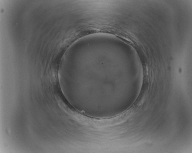 X0000074230039200609011253