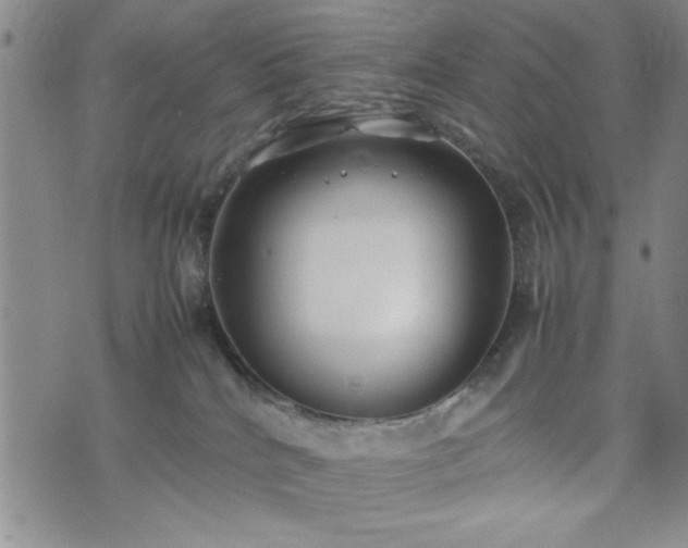 X0000074230040200609011253