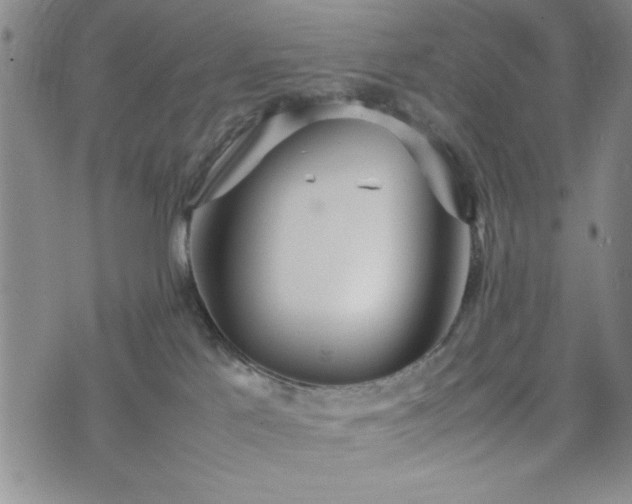 X0000074230041200609011253