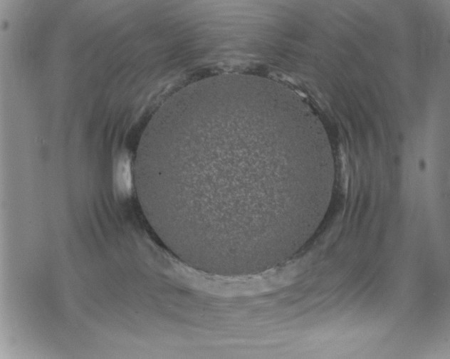 X0000074230042200609011253