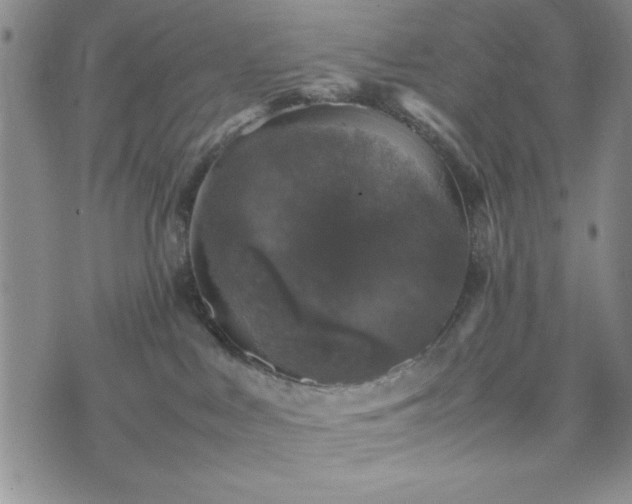 X0000074230043200609011253