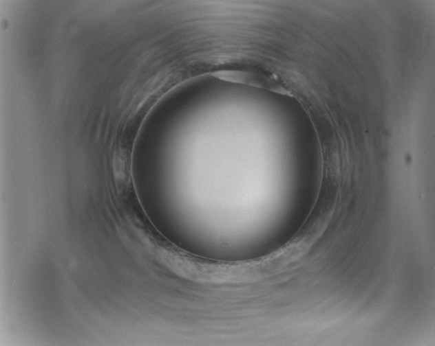 X0000074230044200609011253