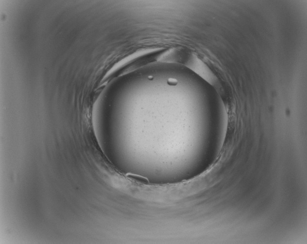 X0000074230045200609011253