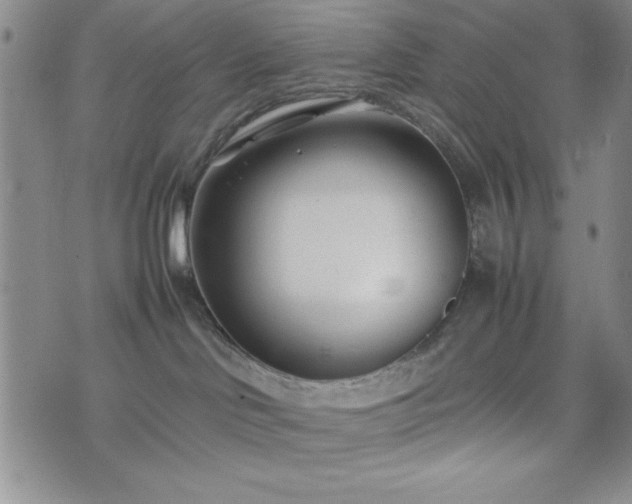 X0000074230046200609011253