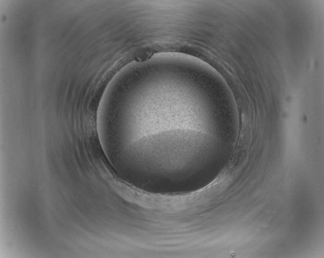 X0000074230048200609011253