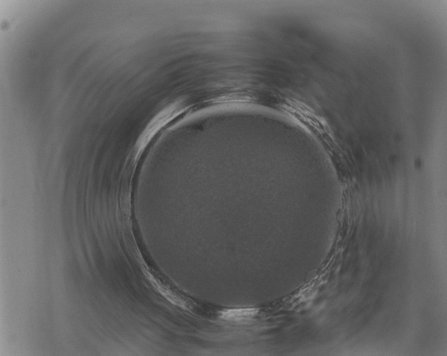 X0000074230051200609011252