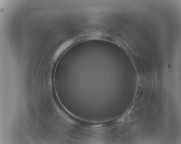 X0000074230054200609011252