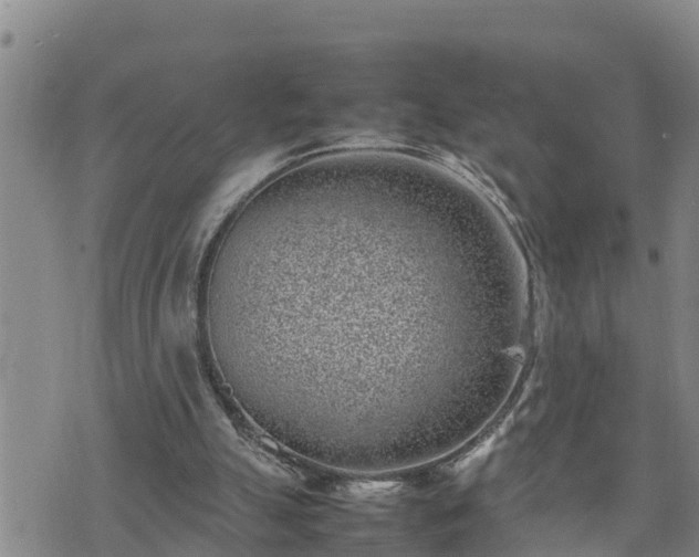 X0000074230055200609011252