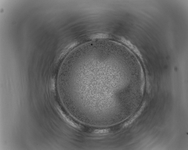 X0000074230057200609011252