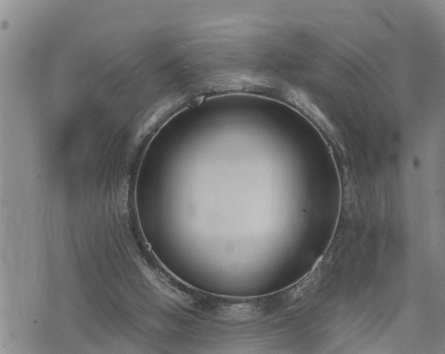 X0000074230058200609011252