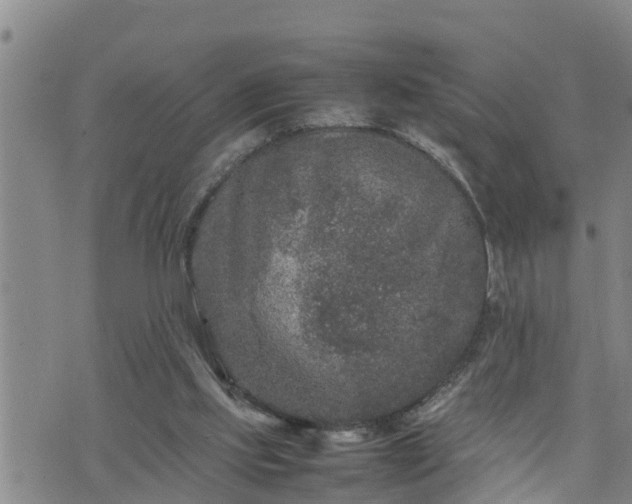 X0000074230061200609011252