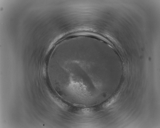 X0000074230064200609011252