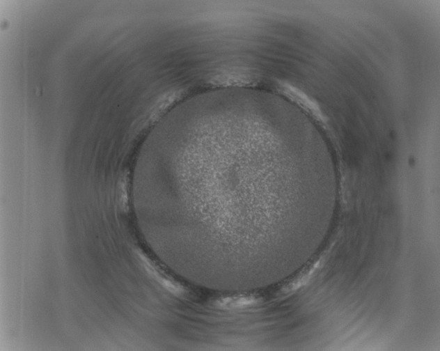 X0000074230065200609011252