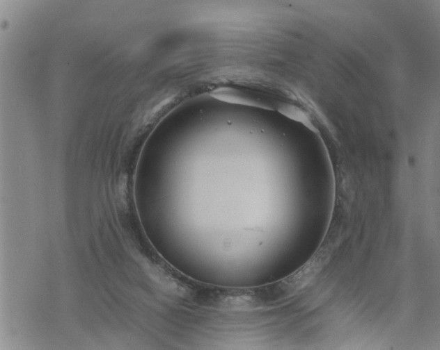 X0000074230066200609011252