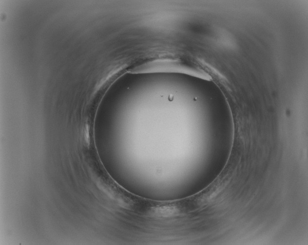 X0000074230067200609011252