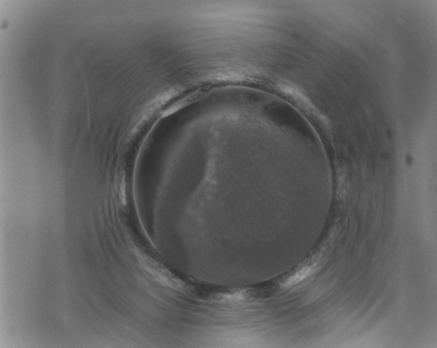 X0000074230068200609011252