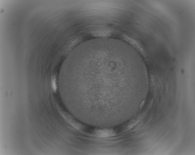 X0000074230069200609011252