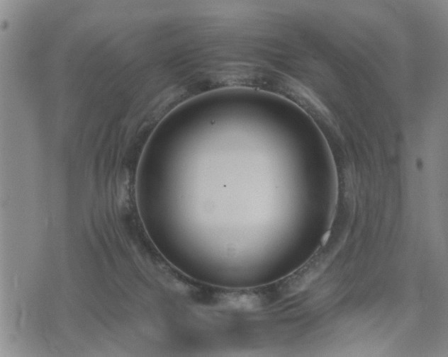 X0000074230073200609011252