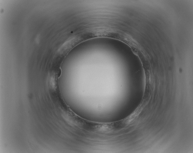 X0000074230074200609011252