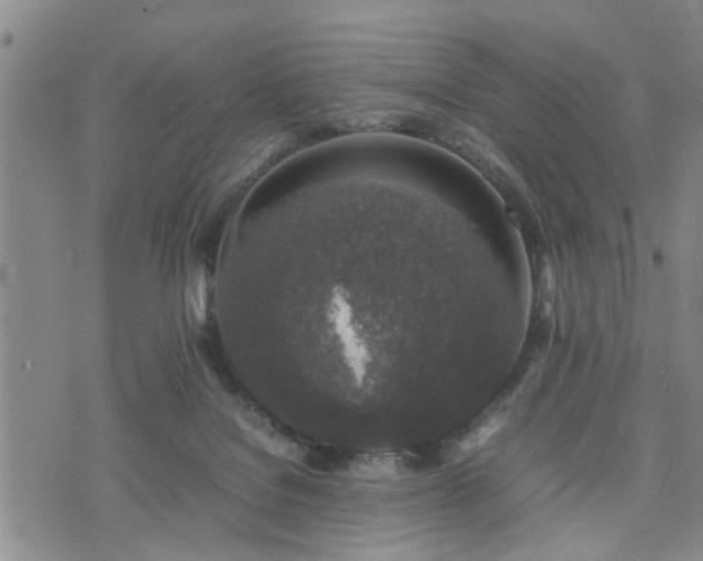 X0000074230076200609011252