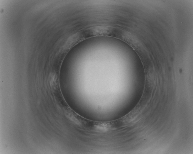 X0000074230079200609011252