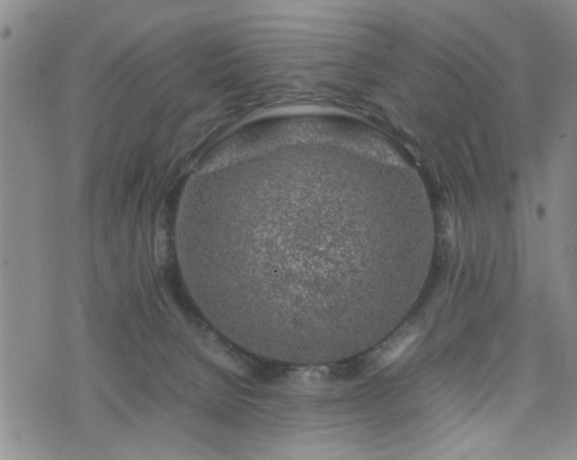 X0000074230080200609011252