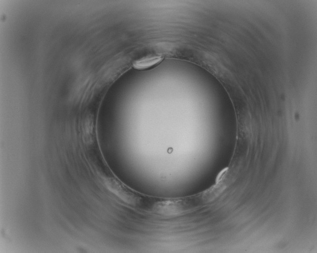 X0000074230082200609011252