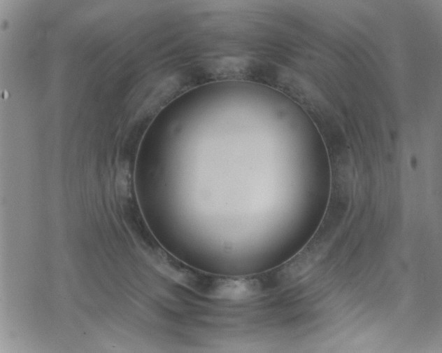 X0000074230083200609011252