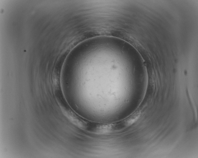 X0000074230084200609011252