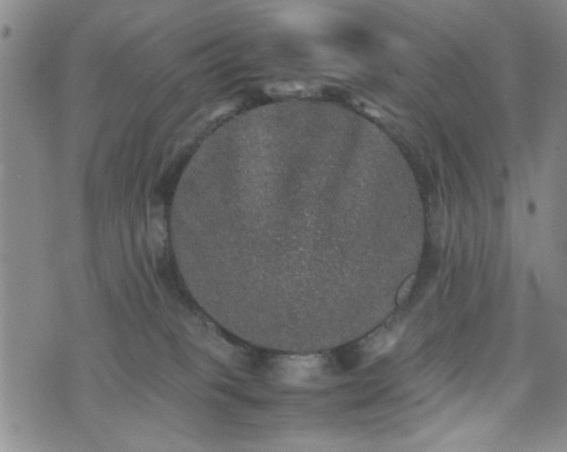 X0000074230085200609011252