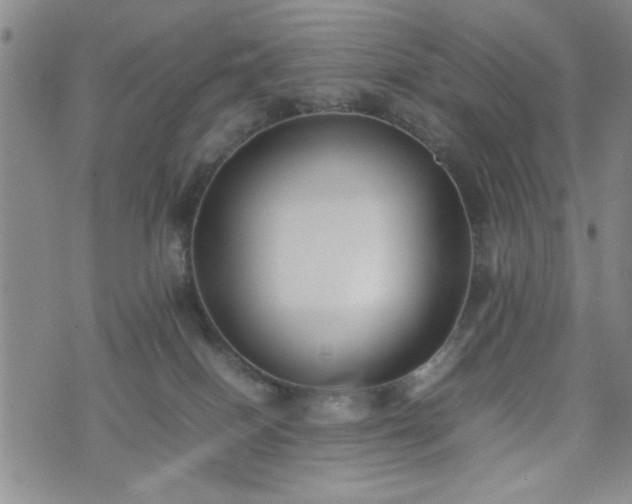 X0000074230086200609011252