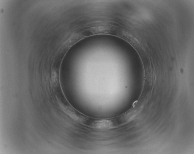 X0000074230087200609011252