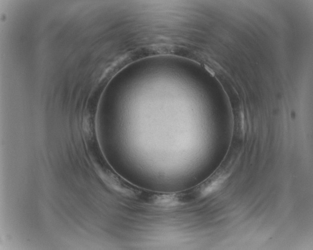 X0000074230088200609011252