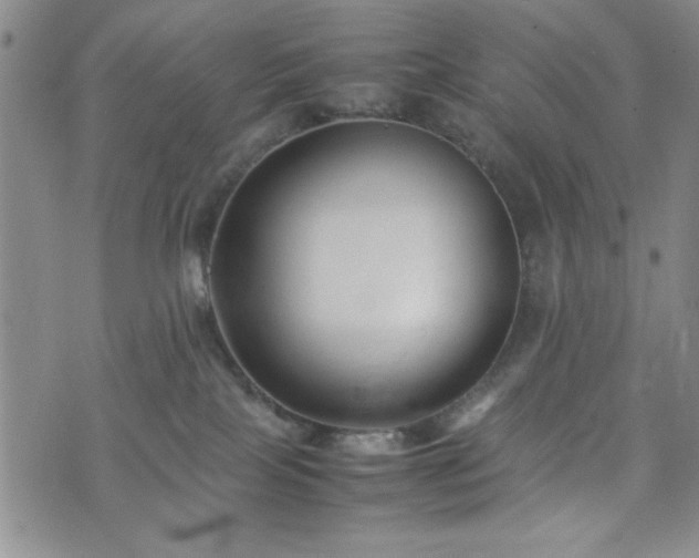 X0000074230089200609011252