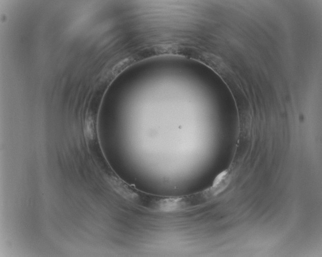 X0000074230090200609011252