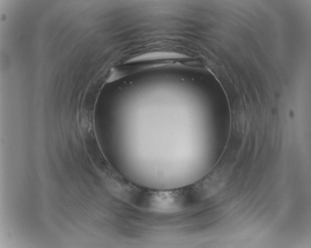 X0000074230091200609011252