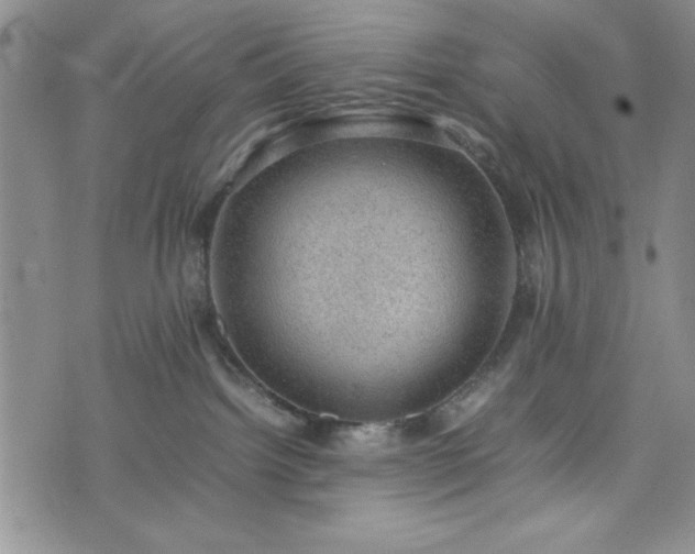 X0000074230092200609011252