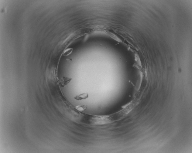 X0000074230093200609011252