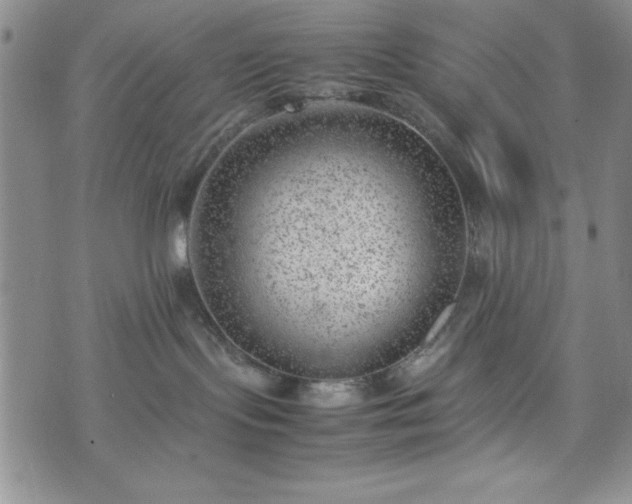 X0000074230095200609011252